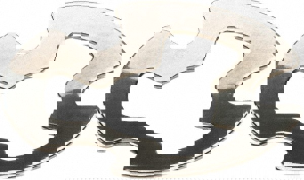 Belleville Disc Spring: 6.48 mm ID, 1.07 mm OAH