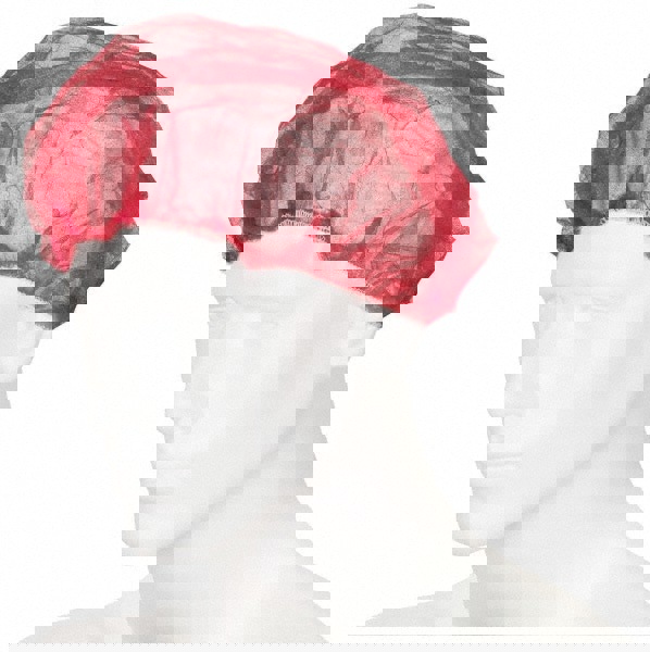 Bouffant: Red, Size 24 in