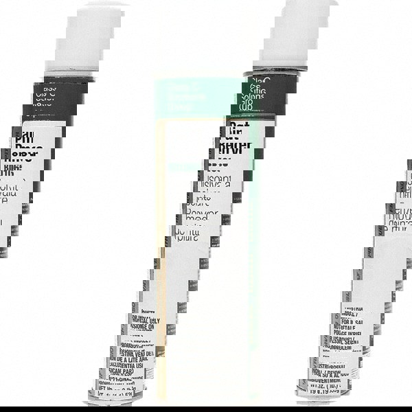 Paint Remover: 20 oz Can