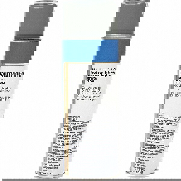 Enamel Spray Paint: Light Gray, 12 oz