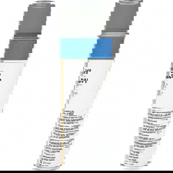 Enamel Spray Paint: Gray, 16 oz