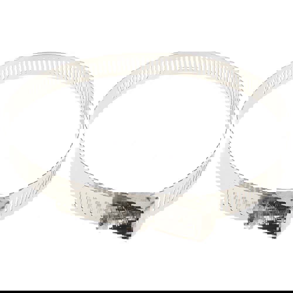 Worm Gear Clamp: 2-1/16 to 6