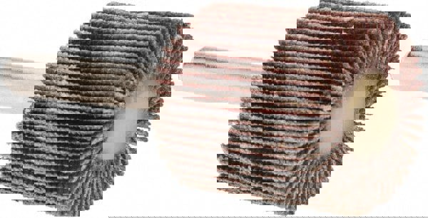 Mounted Flap Wheel: 1