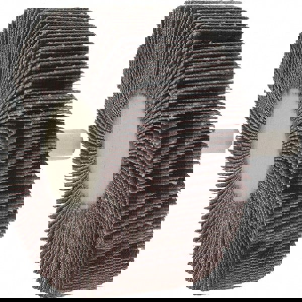 Mounted Flap Wheel: 2-1/2