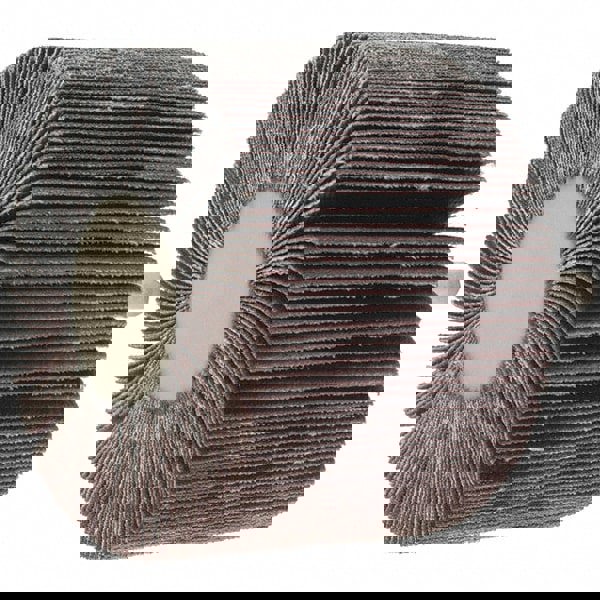 Mounted Flap Wheel: 3