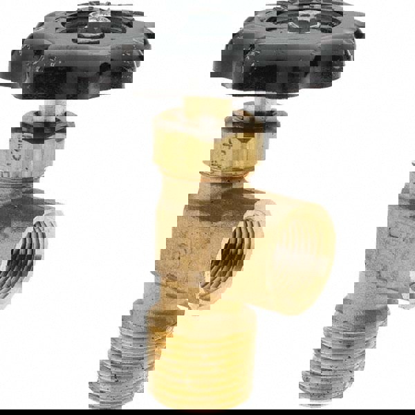 FNPTF x MNPTF End Connection Brass Truck Valve