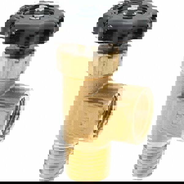 FNPTF x MNPTF End Connection Brass Truck Valve