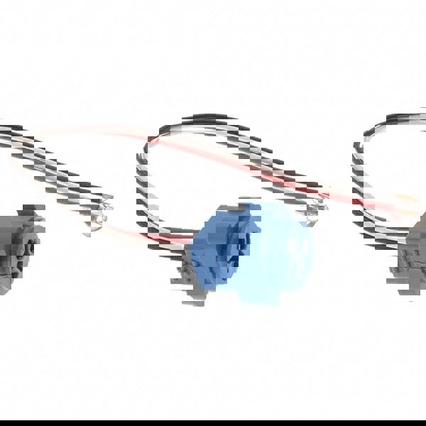 Automotive Stop/Turn/Tail Plug