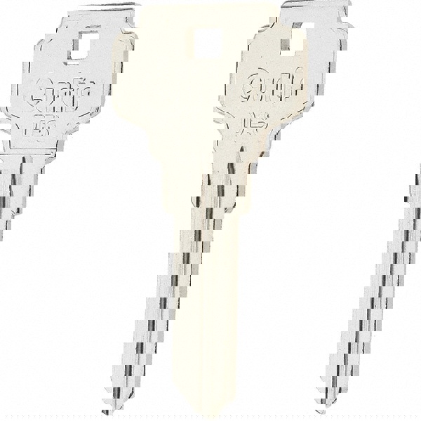 Dexter Nickel Key Blank