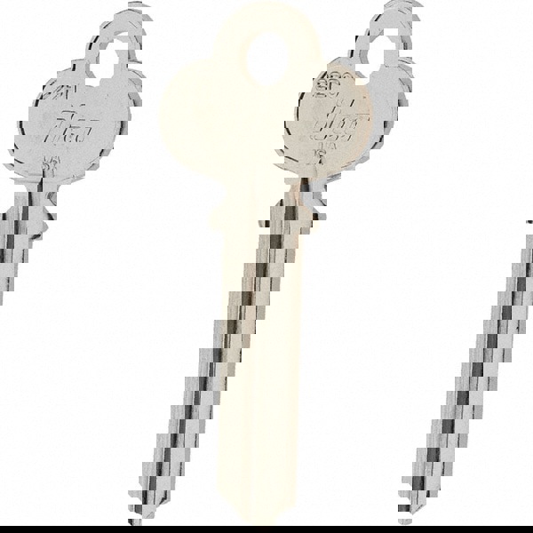 Dominion Nickel Key Blank