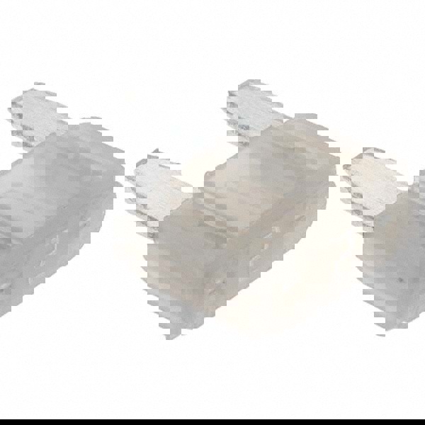 2 Amp, Automotive Fuse