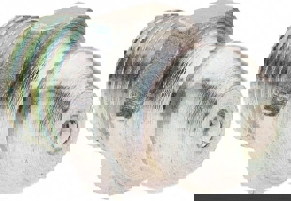 Taper Thread Grease Fitting: 1/4-28