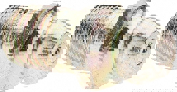 Taper Thread Grease Fitting: 1/4-28