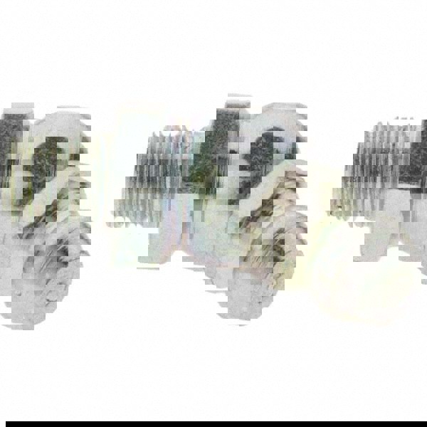 Taper Thread Grease Fitting: M6 x 1