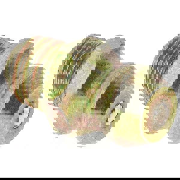 Taper Thread Grease Fitting: M6 x 1