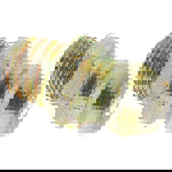 Taper Thread Grease Fitting: M6 x 1