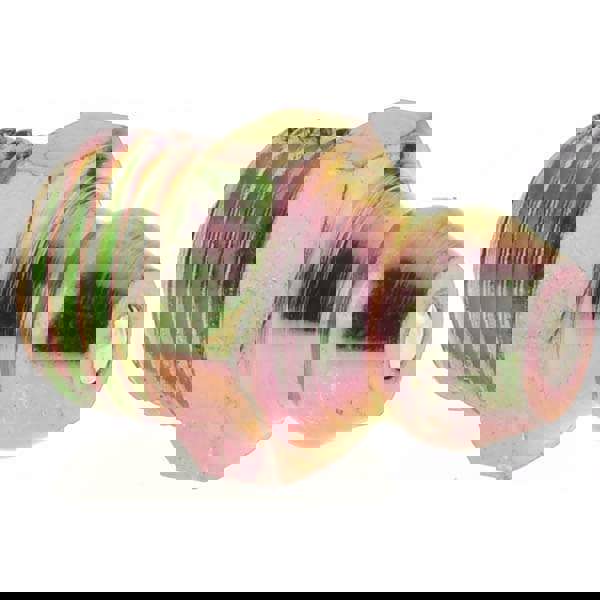 Taper Thread Grease Fitting: M8 x 1