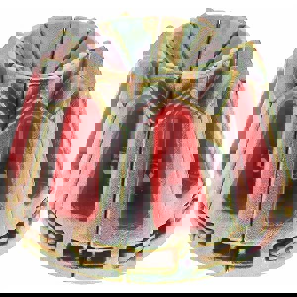 Hose-Adapters,Couplers,Connect