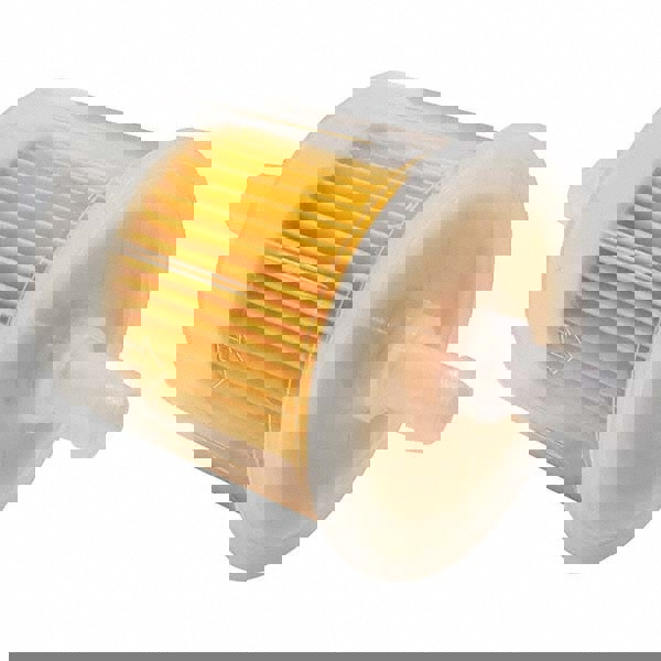 Automotive Fuel Filter: