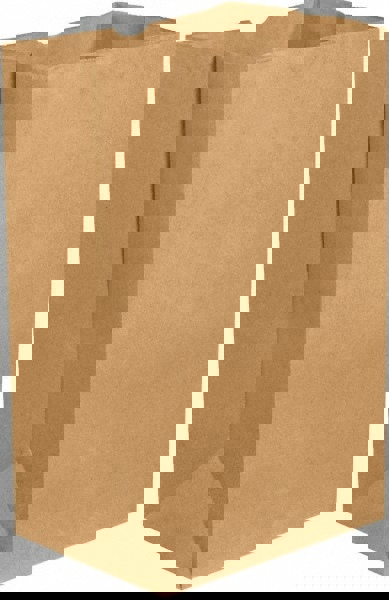 Pack of (500) Kraft Grocery Bags