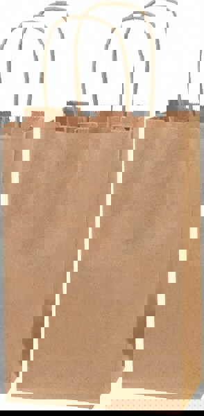 Pack of (250) Kraft Grocery Bags