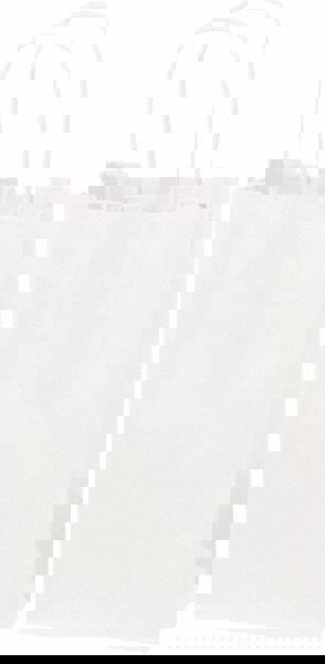 Pack of (250) Kraft Grocery Bags