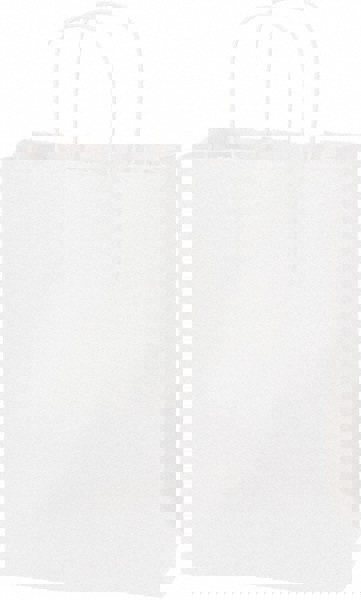 Pack of (250) Kraft Grocery Bags