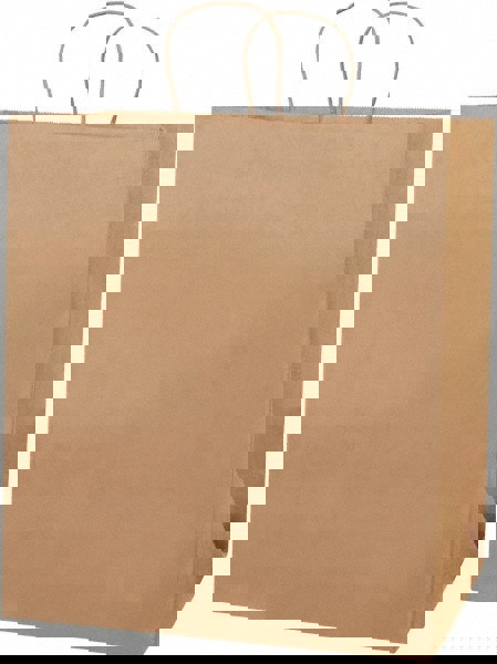 Pack of (200) Kraft Grocery Bags