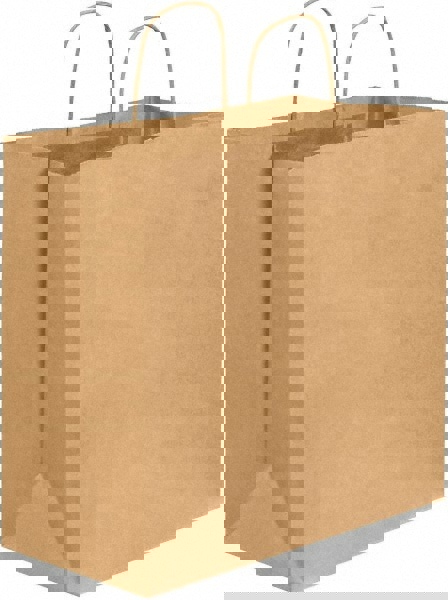Pack of (250) Kraft Grocery Bags