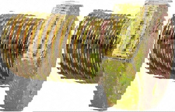 Hex Head Cap Screw: 3/8-24 x 5/8