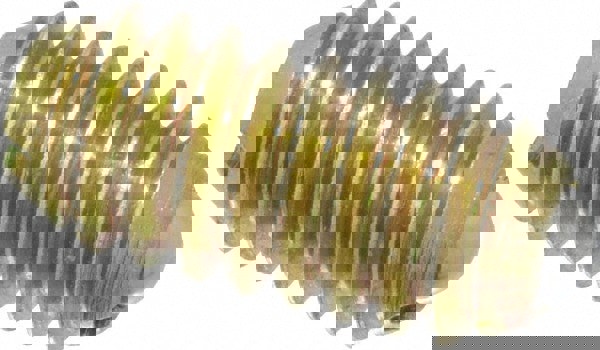 Threaded Ball Plunger: 1/4-20, 0.125