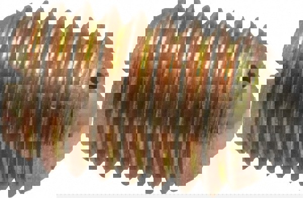 Threaded Ball Plunger: 1/2-13, 0.281