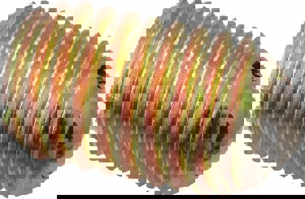 Threaded Ball Plunger