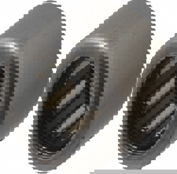 Needle Roller Bearing: 0.313