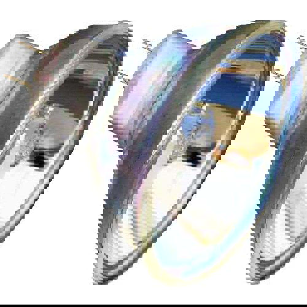 24V 150W Halogen Bulb for Fiber Optic Illuminators