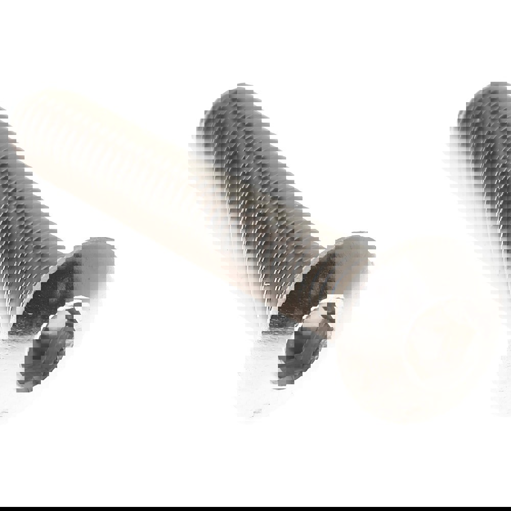 Button Socket Cap Screw: Stainless Steel