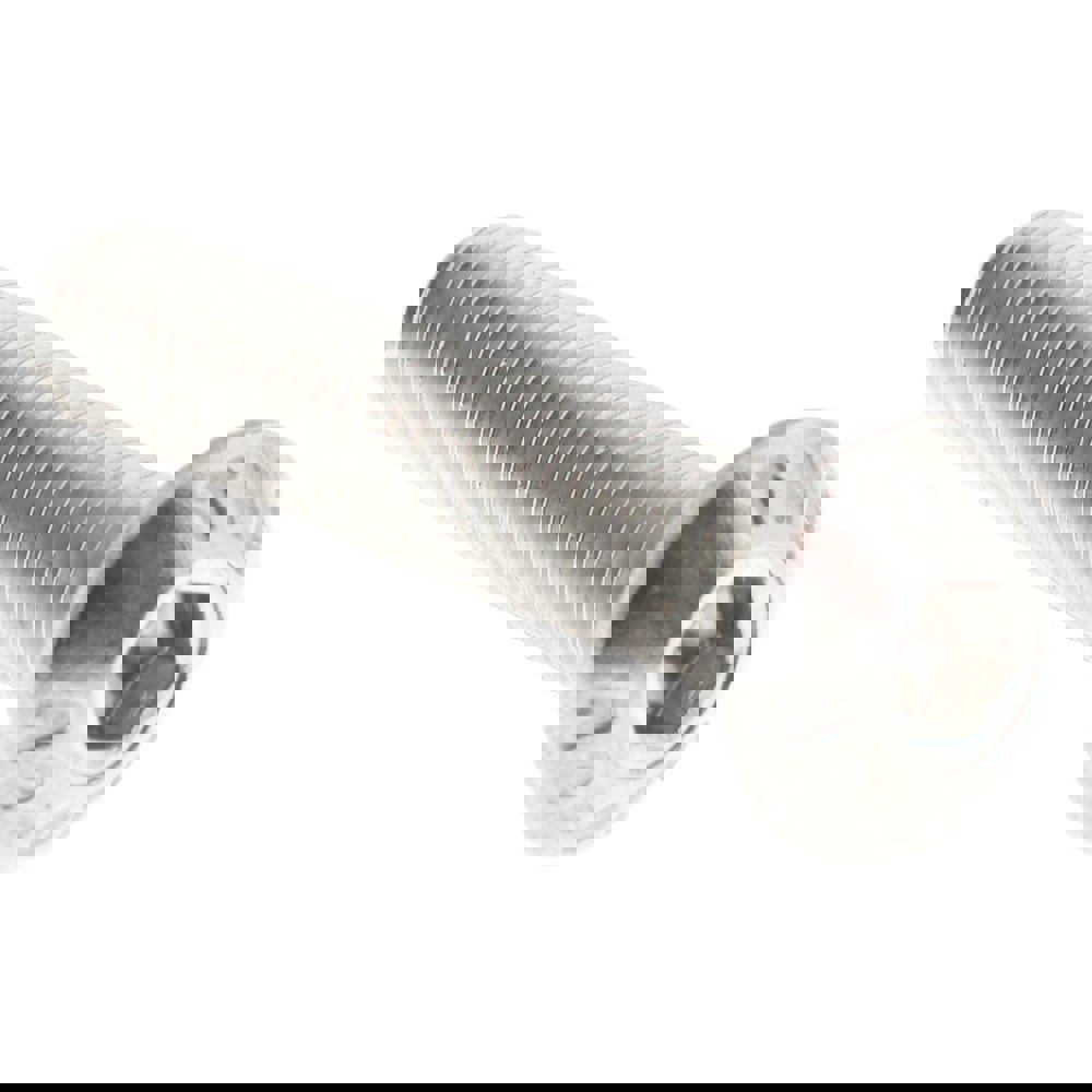 Button Socket Cap Screw: Stainless Steel