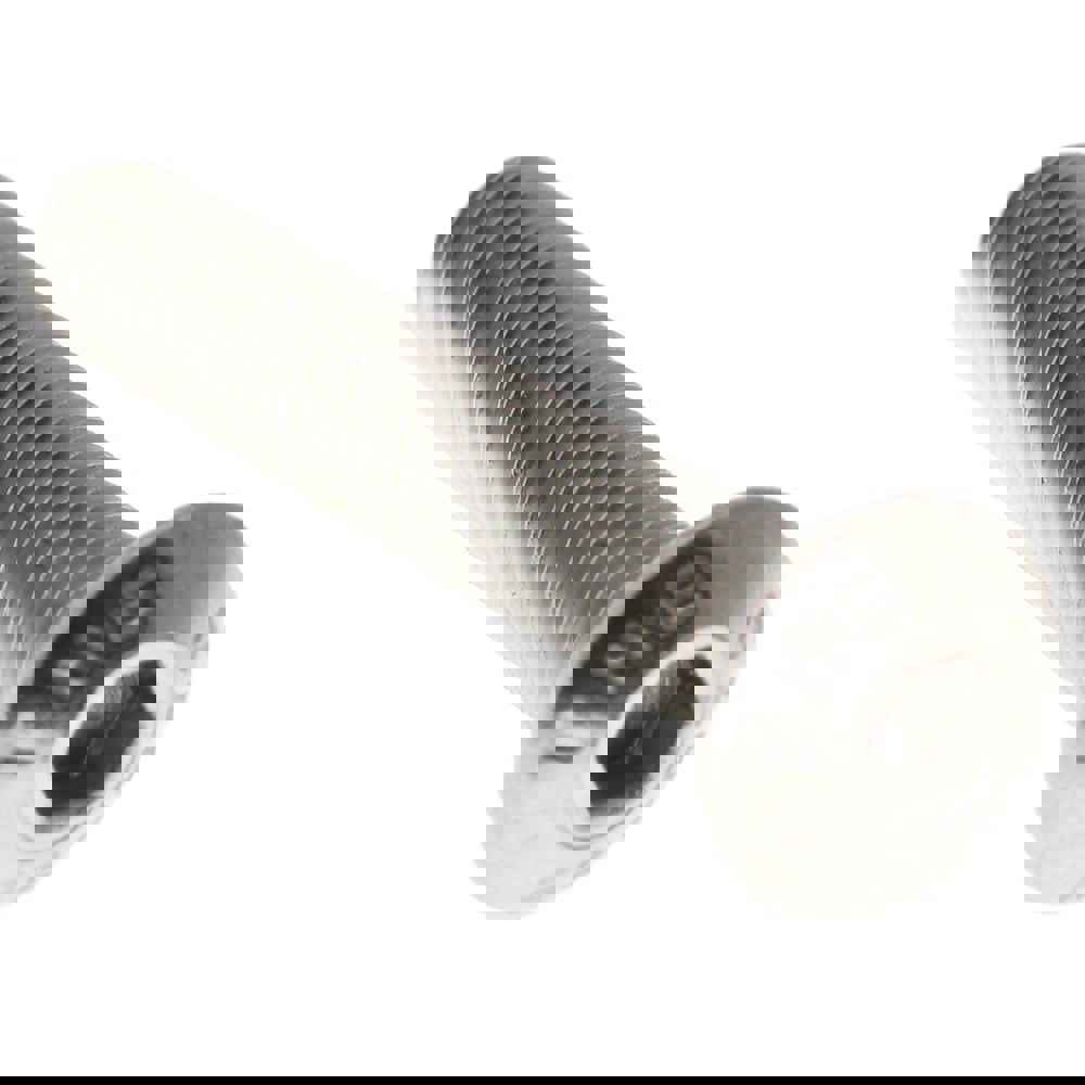 Button Socket Cap Screw: Stainless Steel