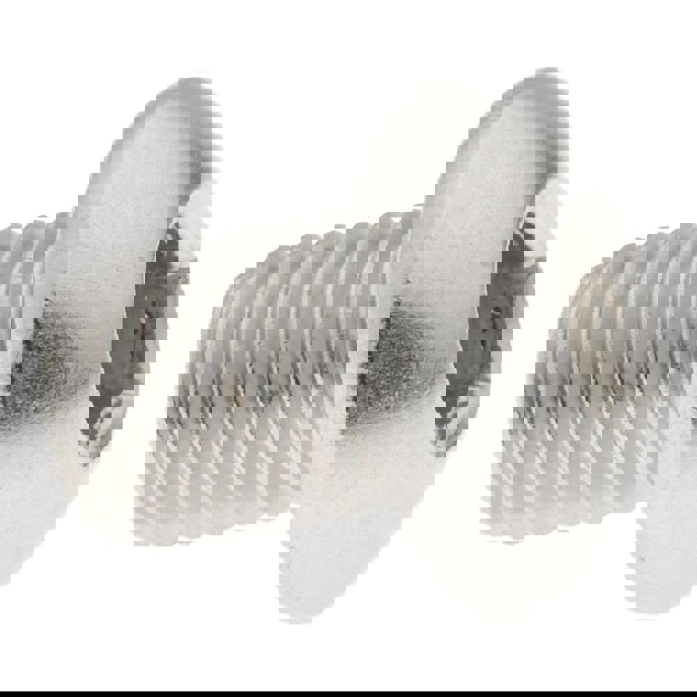 Button Socket Cap Screw: Stainless Steel