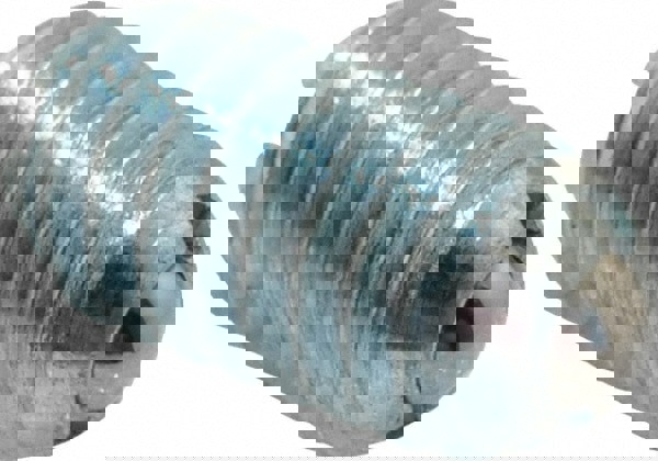 Threaded Ball Plunger: 5/16-18, 0.156