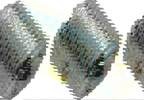 Threaded Ball Plunger: M8 x 1.25, 0.196