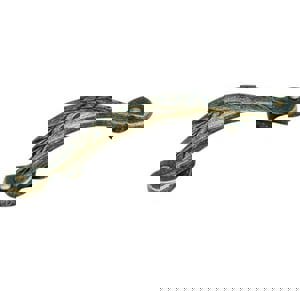 Nature's Splendor 3 in (76 mm) Center-to