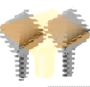 EXTENSITY 1-1/8 IN 29 MM LENGTH CHAMPAGN