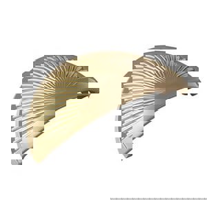 Sea Grass 3 in (76 mm) Center-to-Center Golden Champagne Cabinet Cup Pull