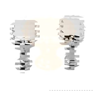 Grace Revitalize 1-3/4 in (44 mm) Diameter Polished Nickel Cabinet Knob