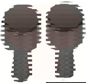 Blackrock 1-5/8 in (44 mm) Diameter Black Bronze Cabinet Knob