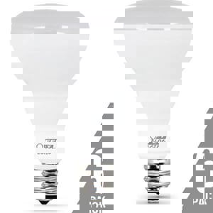 CCY 65W LED BULB BR30 2700K 6/PK