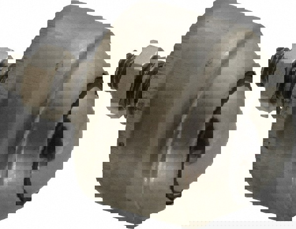 Ball Transfer Casters