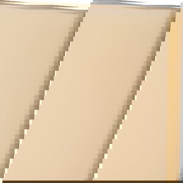 Plastic Sheet: Nylon 6/6, 3/4