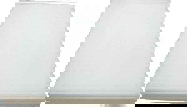 Plastic Sheet: UHMWPE, 1